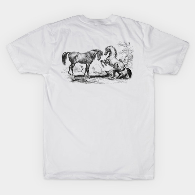 Pair of Horses Vintage Black and White Illustration by Biophilia